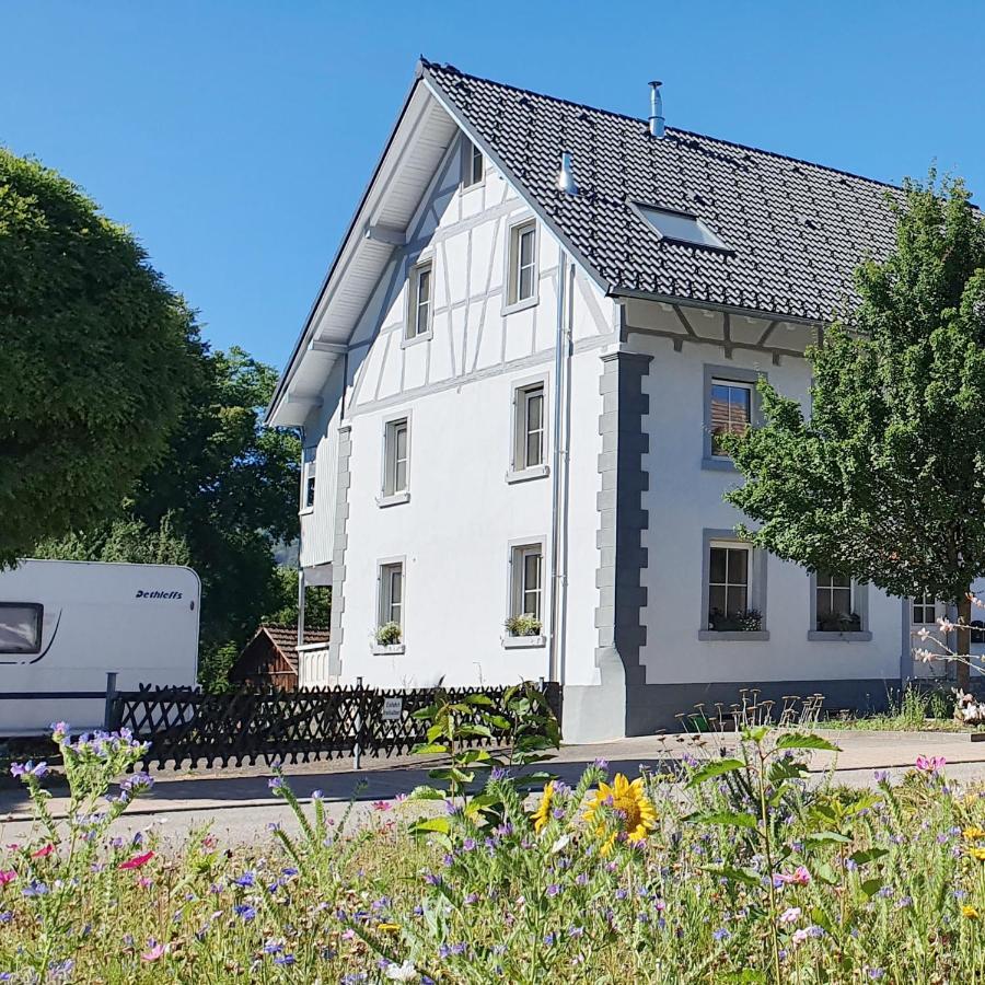 Weisweil  Apartment Suedwind - Beautiful Premium Apartment With 2 Bedrooms Near Rhine Falls & Zurich Airport In Klettgau מראה חיצוני תמונה