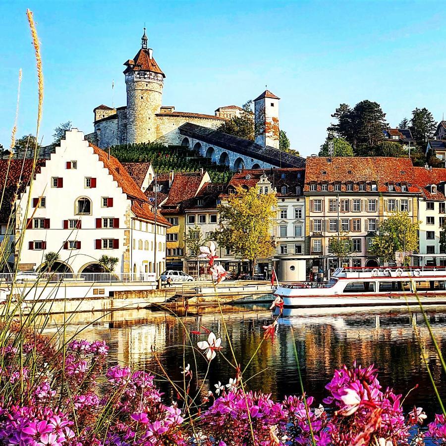 Weisweil  Apartment Suedwind - Beautiful Premium Apartment With 2 Bedrooms Near Rhine Falls & Zurich Airport In Klettgau מראה חיצוני תמונה