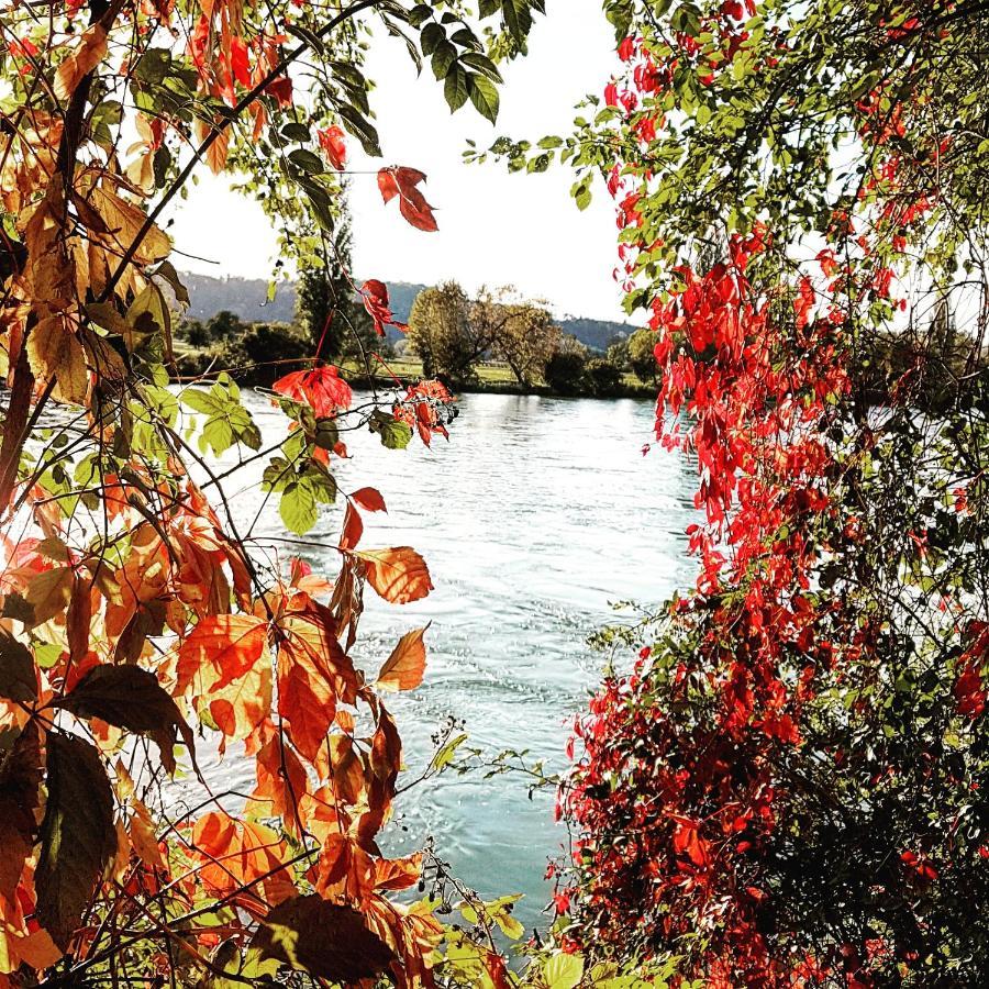 Weisweil  Apartment Suedwind - Beautiful Premium Apartment With 2 Bedrooms Near Rhine Falls & Zurich Airport In Klettgau מראה חיצוני תמונה